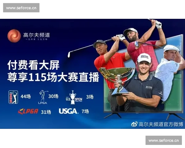 全面解析体育官网PC版使用指南,助你轻松畅享精彩赛事直播体验 全面解析体育官网PC版使用指南,助你轻松畅享精彩赛事直播体验